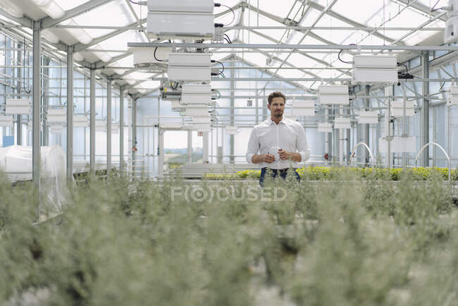 Imprenditore maschio in piedi tra le piante mentre lavora in serra — Foto stock