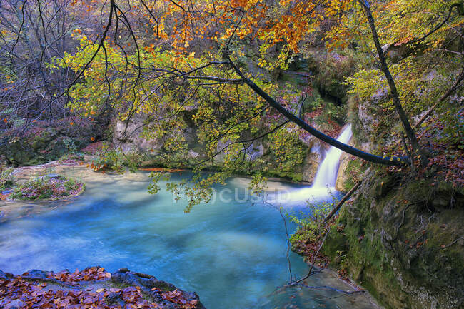Bellissima sorgente fluviale a Urbasa e nel Parco Nazionale di Andia, Navarra. Spagna — Foto stock