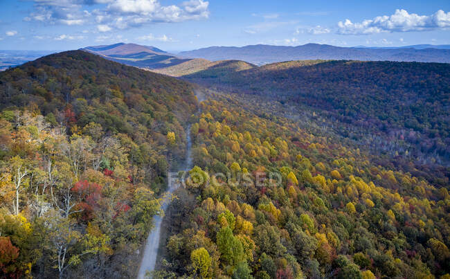 Aerial view of dirt road stretching in George Washington and Jefferson National Forests in autumn — Stock Photo