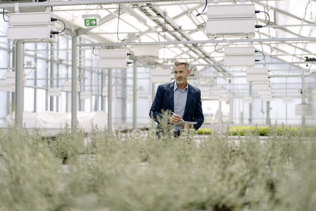 Profesional masculino con tableta digital examinando plantas que crecen en invernadero - foto de stock
