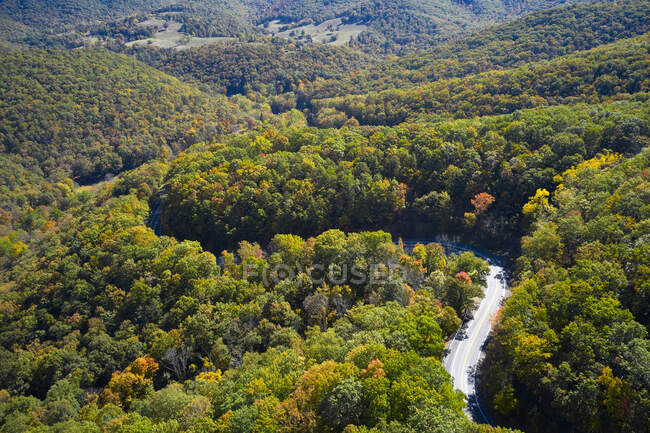 Veduta aerea della strada asfaltata che si snoda attraverso la foresta alpina in autunno — Foto stock
