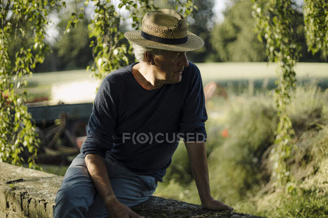 Uomo indossando cappello mentre seduto sul muro di sostegno contro le piante — Foto stock