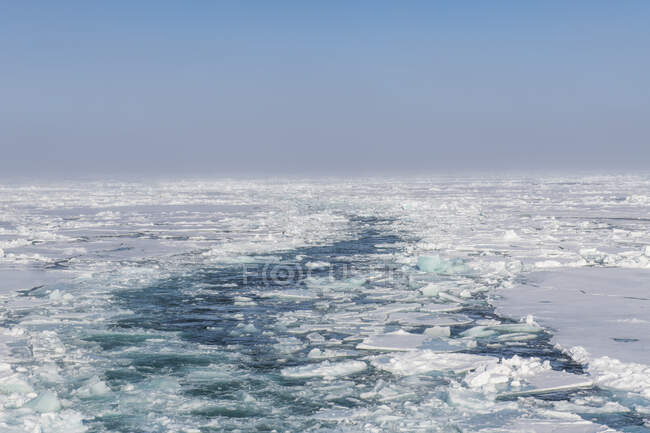 Gebrochenes Eis treibt im Arktischen Ozean — Stockfoto