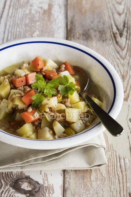 Bowl of ready-to-eat vegan vegetable stew with emmer wheat — Stock Photo