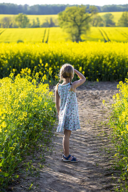 Ragazza in piedi in fattoria di campo di colza — Foto stock