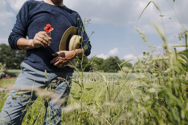 Mann mit Hut hält Blume in der Hand, während er bei sonnigem Tag auf einem Feld steht — Stockfoto