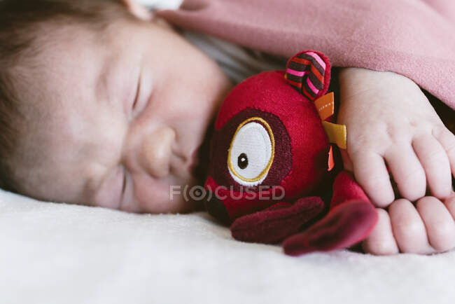 Primer plano de la niña recién nacida sosteniendo el juguete mientras duerme en la cama en el hospital - foto de stock