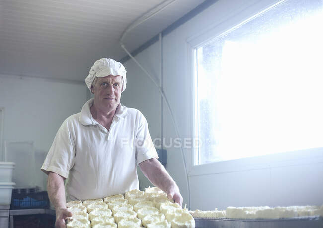 Expertise holding cheese tray while standing at dairy — Stock Photo
