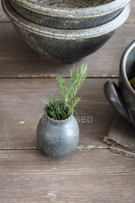 Small ceramic vase with fresh dill — Stock Photo