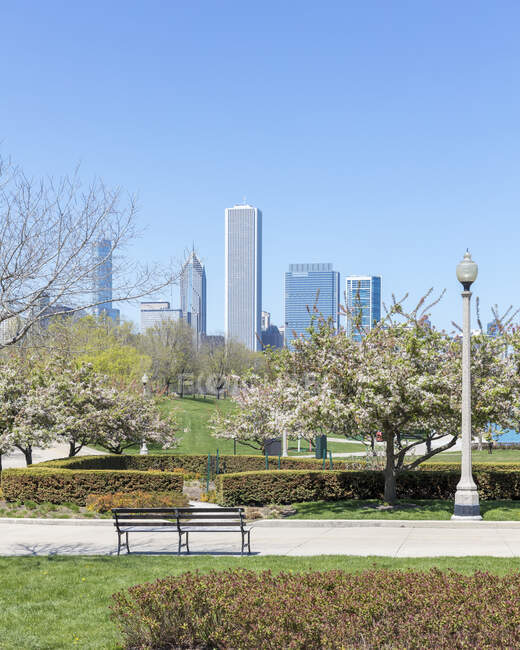 Skyscrapers seen from Grant Park, Chicago, USA — Stock Photo