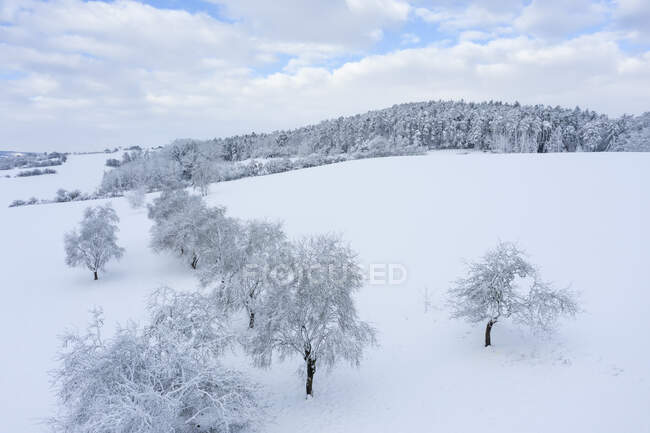 Vista aérea de Franconian Heights no inverno — Fotografia de Stock