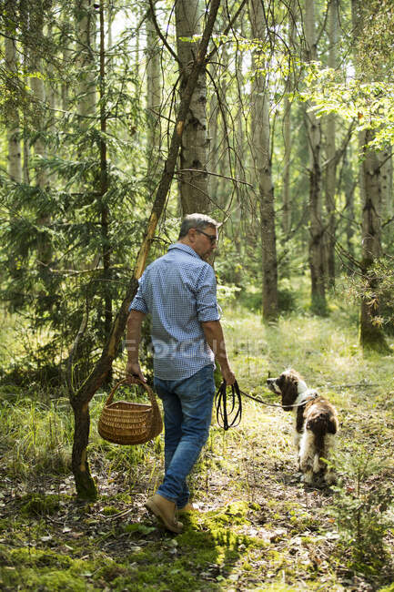 Uomo che cammina con il suo cane da compagnia nella foresta — Foto stock
