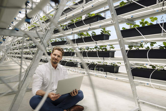 Мужчина-предприниматель с помощью ноутбука, сидя среди растений в теплице — стоковое фото