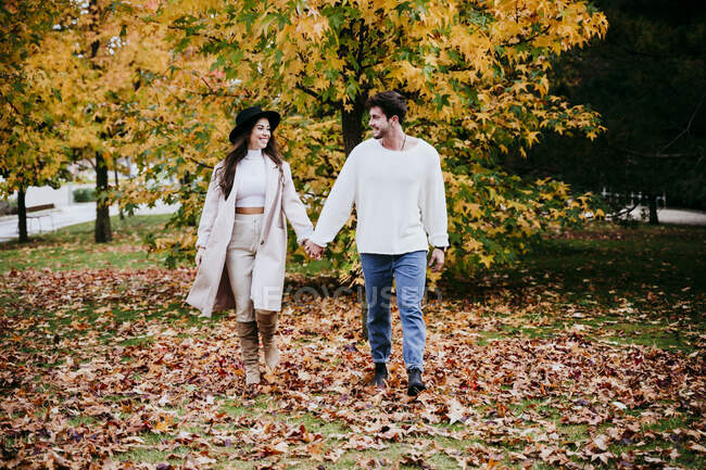 Smiling young couple holding hands while looking at each other against tree during autumn — Stock Photo