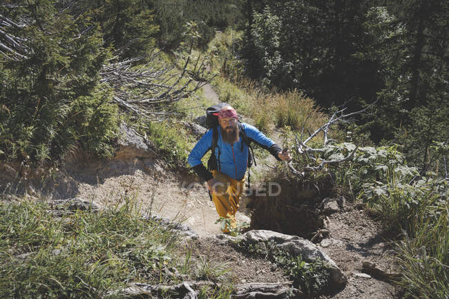 Randonneur masculin escalade en montagne par temps ensoleillé, Otscher, Autriche — Photo de stock