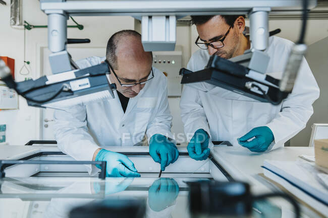Männliche Wissenschaftler bereiten menschliche Gehirnscheiben zu, während sie im Labor vor der Gefriertruhe stehen — Stockfoto