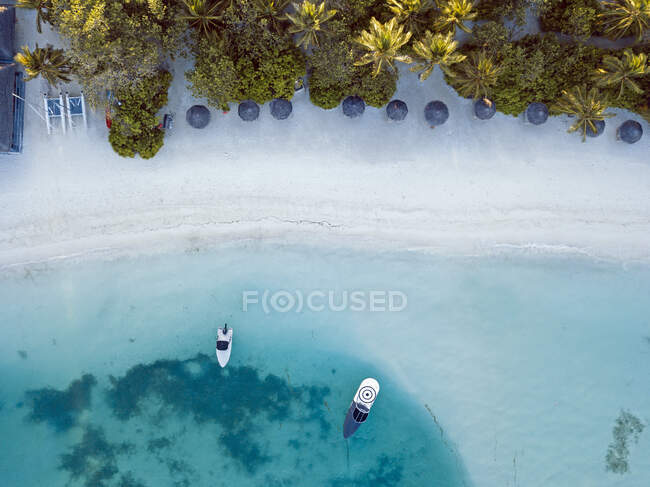 Sunshades at tropical beach, aerial view — Stock Photo