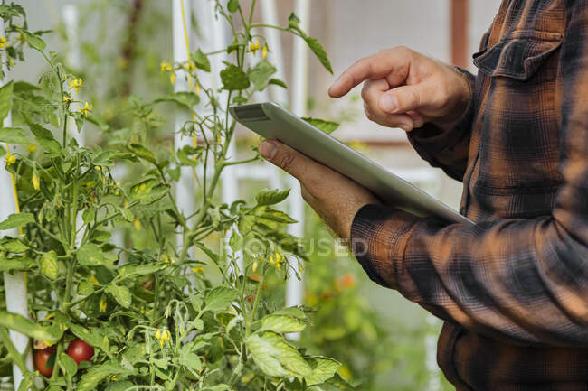 Homem usando tablet digital em pé na casa verde — Fotografia de Stock