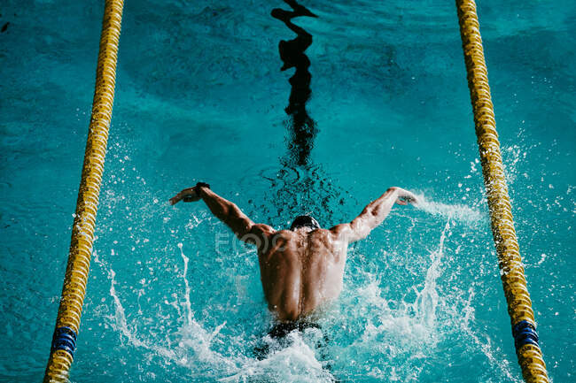 Male swimmer swimming with butterfly stroke in swimming pool — Stock Photo