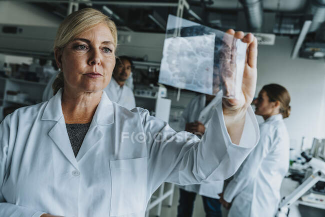Científica examinando deslizamiento cerebral humano mientras está de pie con su compañero de trabajo en el laboratorio - foto de stock