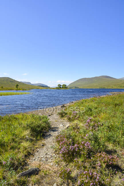 Shore of Loch Droma in summer — Stock Photo
