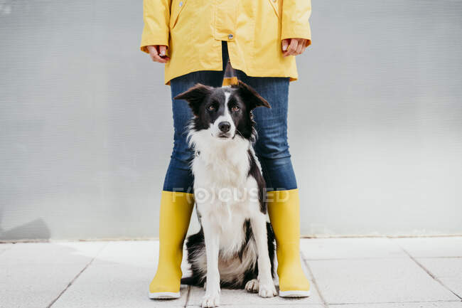 Femme portant un imperméable jaune debout avec chien pendant l'automne — Photo de stock