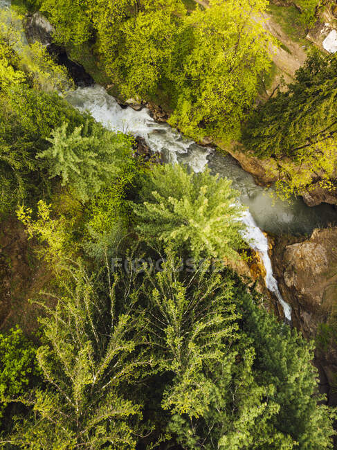 Drone view of green trees growing along Parvati River, India — Stock Photo