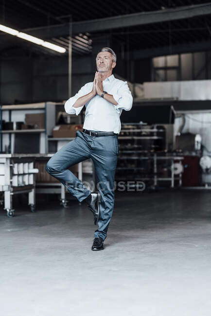 Ingegnere maschio con le mani giunte in piedi su una gamba nell'industria manifatturiera — Foto stock
