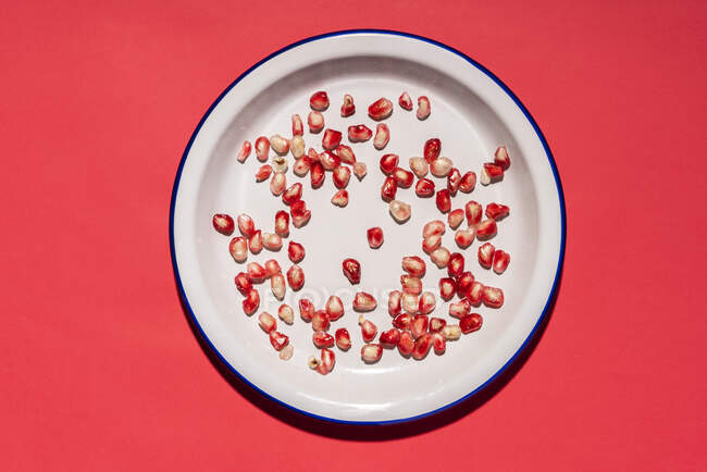 Directly above shot of fig seeds arranged in plate on red background — Stock Photo