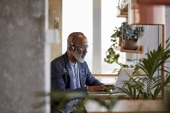 Mature male freelancer using laptop while sitting at table and working from home — Stock Photo