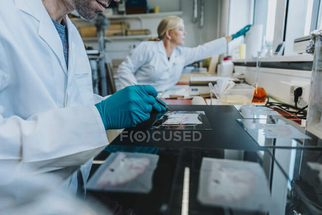 Hombre trabajando en la diapositiva del microscopio cerebral humano con compañero de trabajo de pie en el fondo en el laboratorio - foto de stock