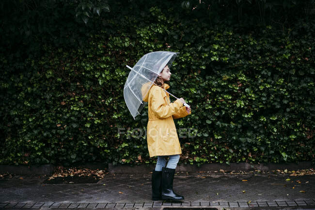 Mediana serie Evacuación Chica usando impermeable sosteniendo paraguas mientras camina contra la  pared de la hoja en la ciudad — niños, Lluvia - Stock Photo | #481476602