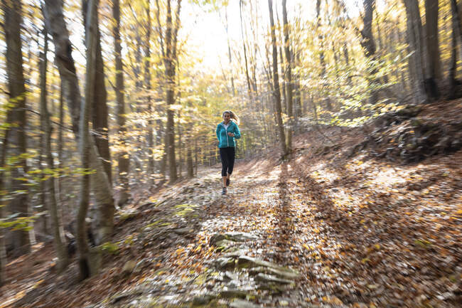 Sportlerin trainiert beim Laufen im Wald — Stockfoto