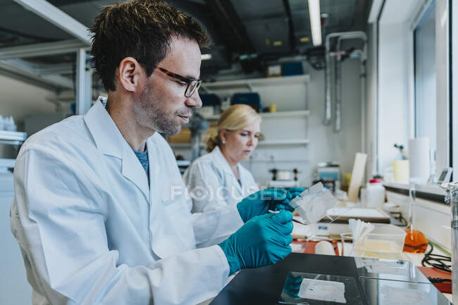 Человек, держащий в руках микроскоп человеческого мозга, сидящий рядом с коллегой в лаборатории — стоковое фото