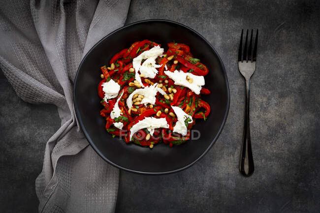 Миска вегетаріанського салату з червоним болгарським перцем, моцарелою, смаженими кедровими горіхами, петрушкою та кип'ятінням — стокове фото
