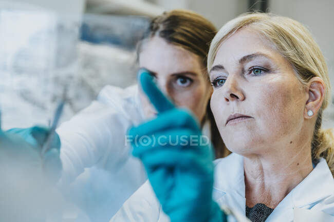 Científico y asistente discutiendo mientras examina la diapositiva del microscopio cerebral humano en el laboratorio - foto de stock