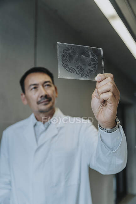 Scientist holding human brain glass sample while standing at clinic corridor — Stock Photo