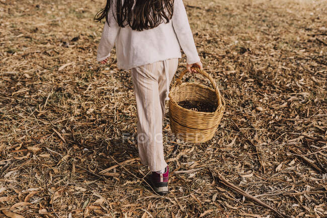 Девушка с шишками в плетеной корзине гуляет в парке — стоковое фото