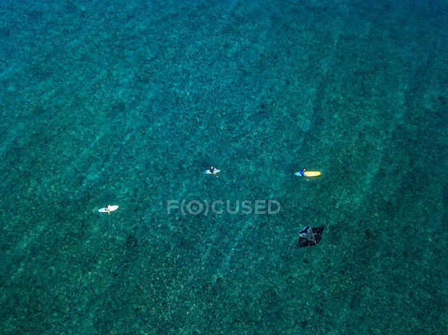Vista aérea de manta ray natação ao lado do grupo de surfistas — Fotografia de Stock
