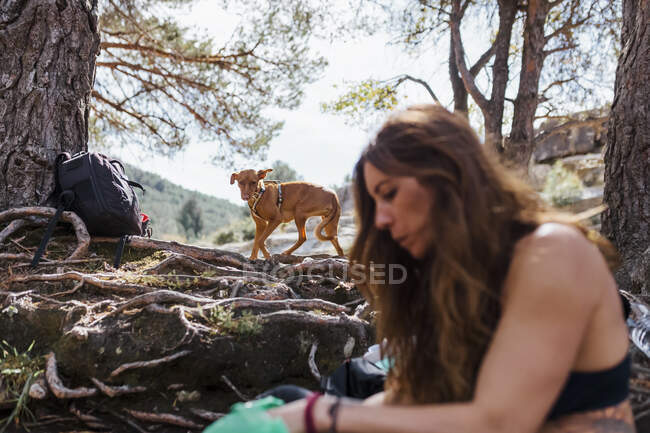Femme adulte moyenne assise avec un chien debout en arrière-plan à la forêt La Pedriza, Madrid, Espagne — Photo de stock