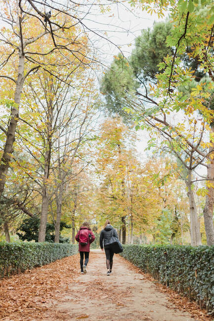 Mujeres adultas caminando juntas en medio de plantas y árboles en el parque durante el otoño - foto de stock
