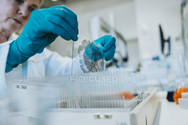 Науковець досліджує слайд людського мозку, стоячи в лабораторії. — стокове фото