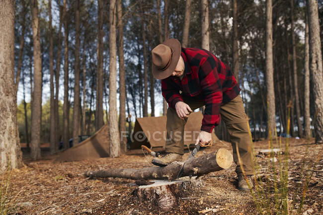 Tronco de corte Buschcrafter con sierra manual en bosque - foto de stock