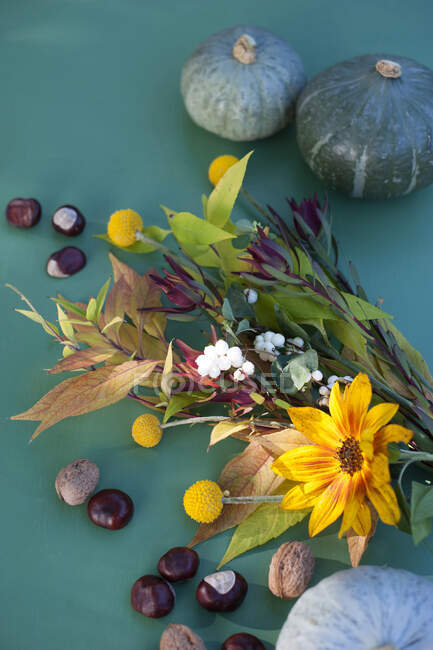 Herbstflora mit Nüssen, Kürbissen und Blumen — Stockfoto