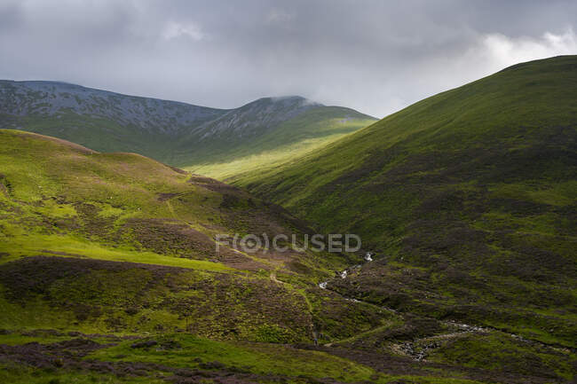 Paesaggio verde collinare del Parco Nazionale Cairngorms — Foto stock