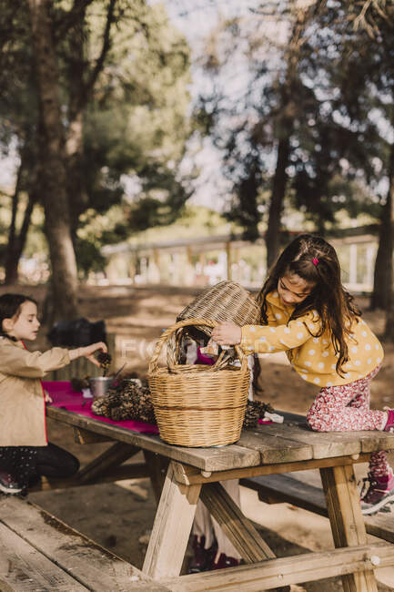 Girl collecting pine cone in wicker baskets at picnic table — Stock Photo