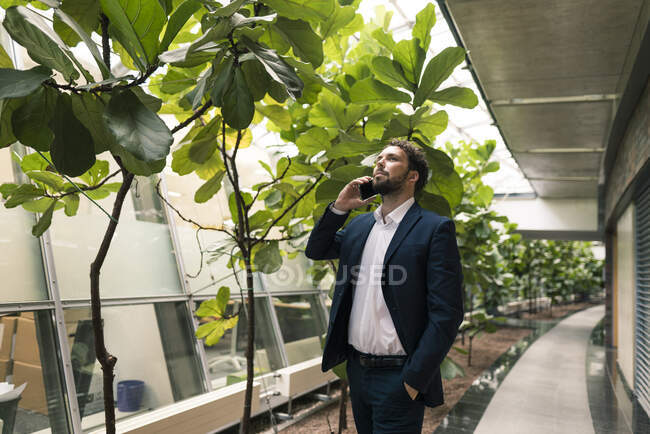 Businessman talking on mobile phone with hand in pocket by plants in office corridor — Stock Photo