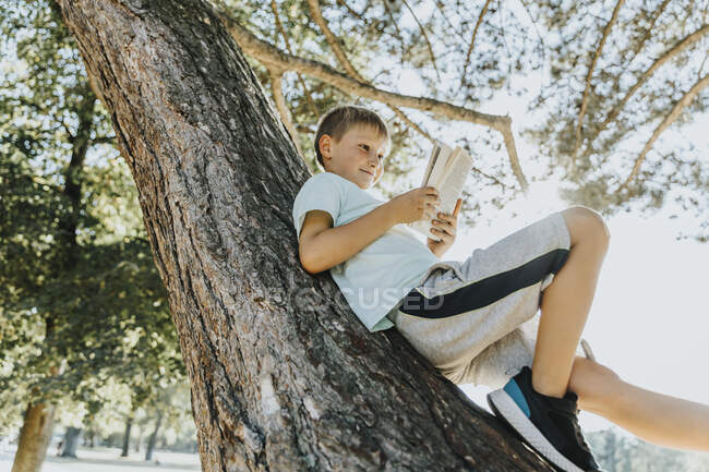 Menino ler livro enquanto deitado no tronco da árvore no parque público — Fotografia de Stock