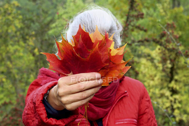 Mature woman with white hair holding autumn leaves in forest — Stock Photo
