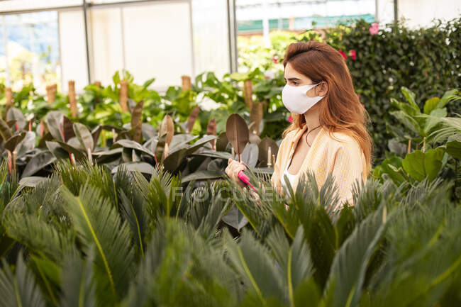 Femme d'affaires rousse tenant tablette numérique tout en examinant la plante au centre de jardin — Photo de stock